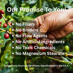 Paradise Herbs Camu Camu extract vegan badge indicating plant-based wellness option.