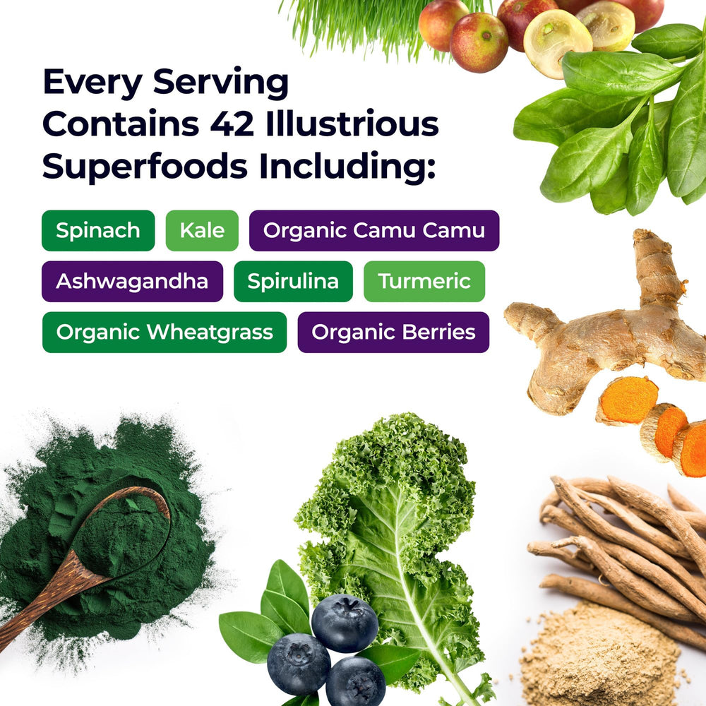 Paradise Herbs ORAC Energy Greens powder scoop demonstrates convenient daily servings.