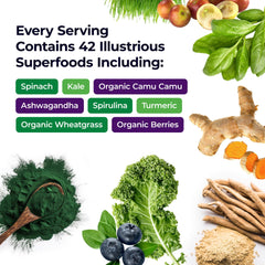 Paradise Herbs ORAC Energy Greens powder scoop demonstrates convenient daily servings.