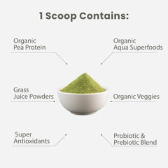 Paradise Herbs ORAC Energy spirulina and chlorella greens illustration.