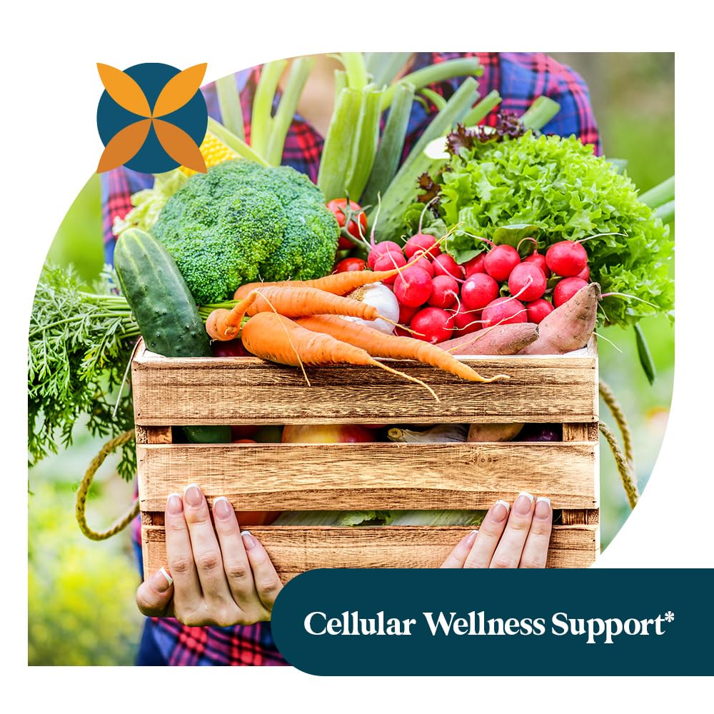 Pattern Wellness allicin-rich formula emphasizes natural antioxidant support.
