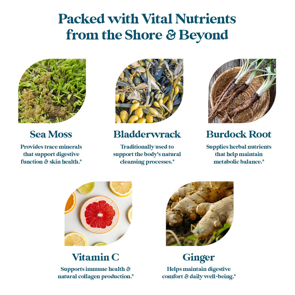 Pattern Wellness Sea Moss Complex burdock root and bladderwrack capsules.