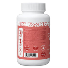 Pattern Wellness capsules closeup showing vegan formula for daily support.