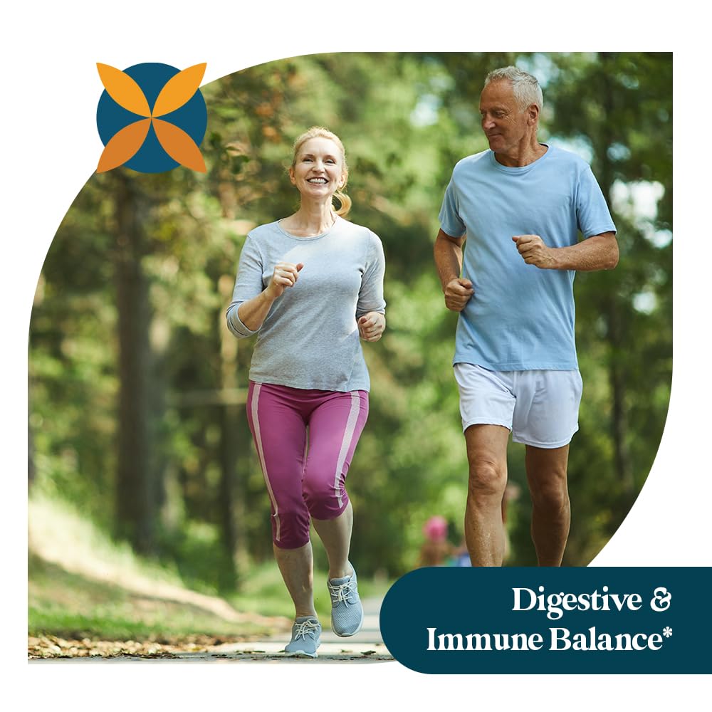 Pattern Wellness daily-use-plan visuals inviting simple incorporation