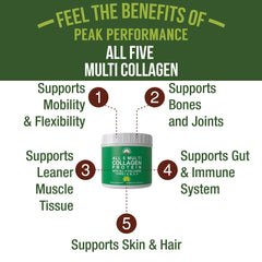 Peak Performance All 5 Multi-Collagen tub label highlighting five collagen types for overall support