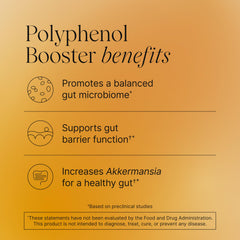 Pendulum Polyphenol Booster capsules ready for daily supplementation and gut balance.