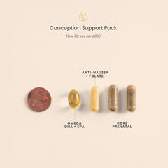 Perelel Conception Support Pack travel-case for busy lifestyles