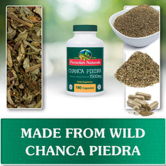 Peruvian Naturals Chanca Piedra tea in cup ready to steep