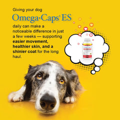 Pet Health Solutions Omega-Caps ES supports joint mobility for active, aging large dogs.