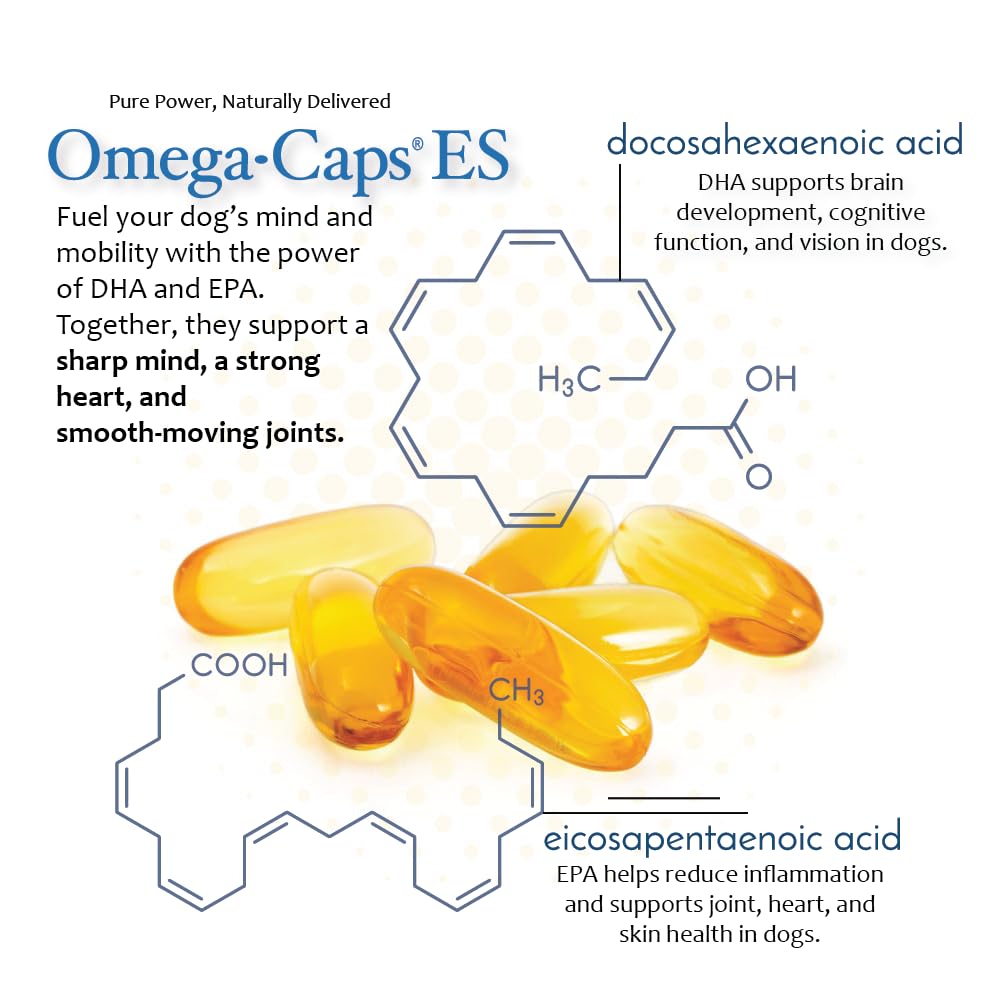 Pet Health Solutions Omega-Caps ES large-breed dog in action shows vitality.