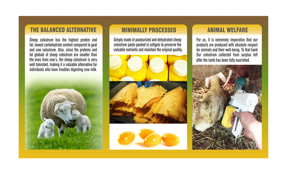 PHARMAKON organic sheep colostrum label close-up communicates organic sourcing and purity.