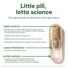 Digestive enzymes capsule aiding digestion of hard-to-digest foods.
