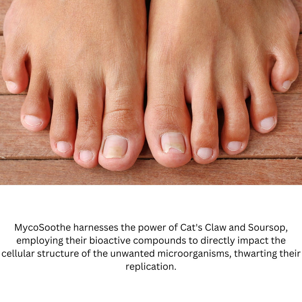 Phytage Labs MycoSoothe curcumin garlic imagery promoting immune wellness