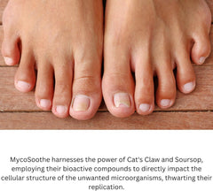 Phytage Labs MycoSoothe primary ingredients chart highlights Cat’s Claw and Soursop.