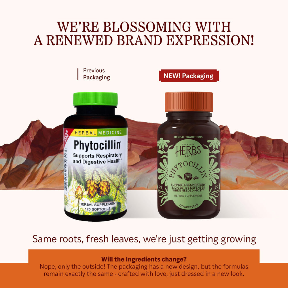 Phytocillin softgels close-up highlighting convenient daily supplementation.