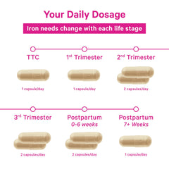 Standing Pink Stork Prenatal Iron bottle with glass of water for simple daily intake