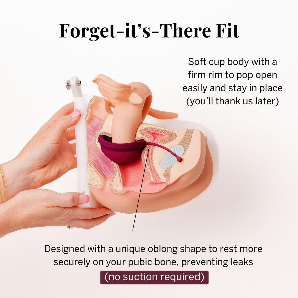 Pixie Cup fits on the pubic bone for secure wear.