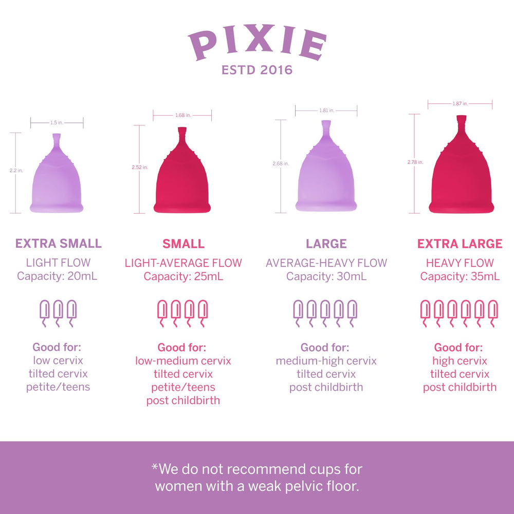 Pixie Cup steamer with automatic shut-off ensuring safe, fast sterilization after use.