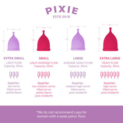 Pixie Cup steamer with automatic shut-off ensuring safe, fast sterilization after use.