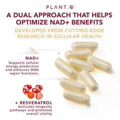 PLANT.O NUTRITION capsules being poured for daily use.