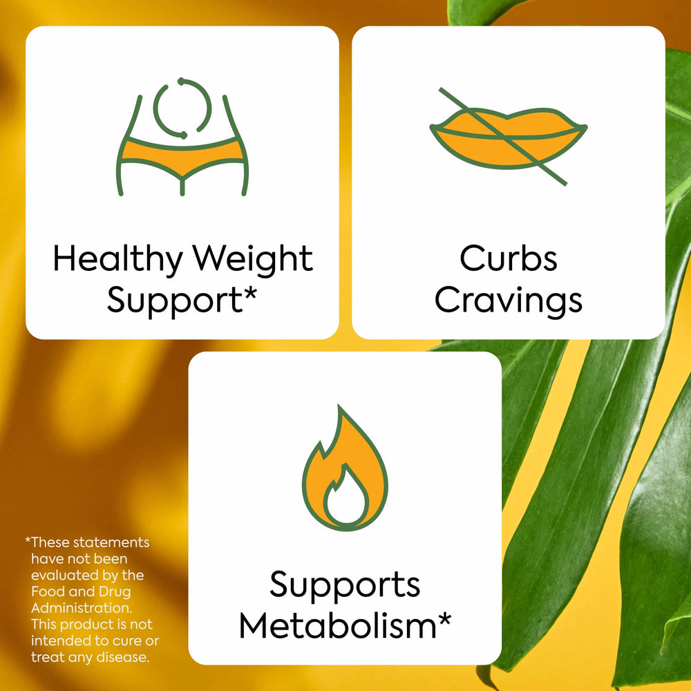 Plant People WonderBurn on-the-go pack fits daily routines