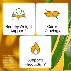 Plant People WonderBurn on-the-go pack fits daily routines