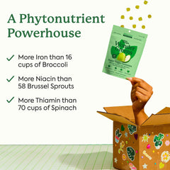 Plant People WonderGreens bottle back label highlights probiotics and essential vitamins.
