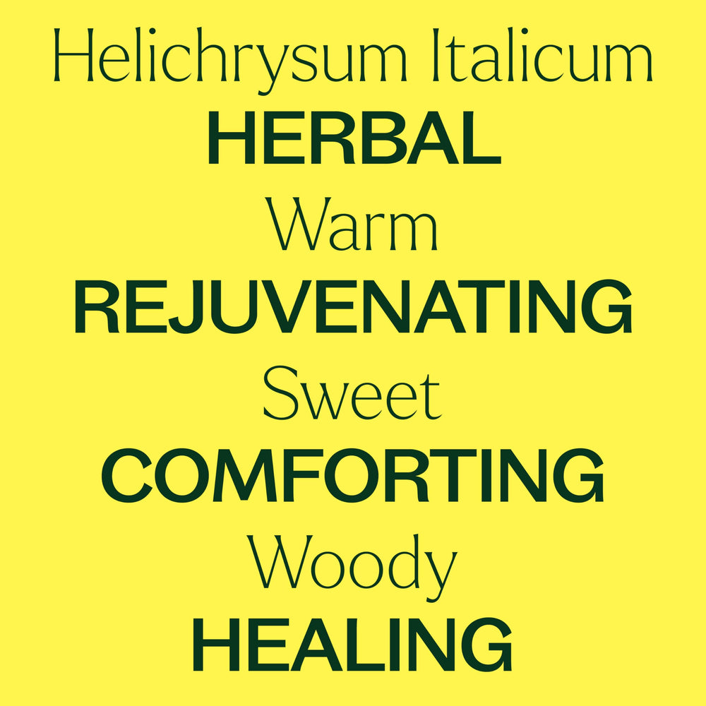 Plant Therapy Helichrysum Italicum diffuser necklace for on-the-go inhalation.