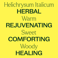 Plant Therapy Helichrysum Italicum diffuser necklace for on-the-go inhalation.