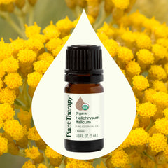 Plant Therapy Helichrysum Italicum diffuser releasing herbaceous aroma.