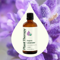 Plant Therapy lavender oil in a diffuser creating a relaxing nighttime atmosphere
