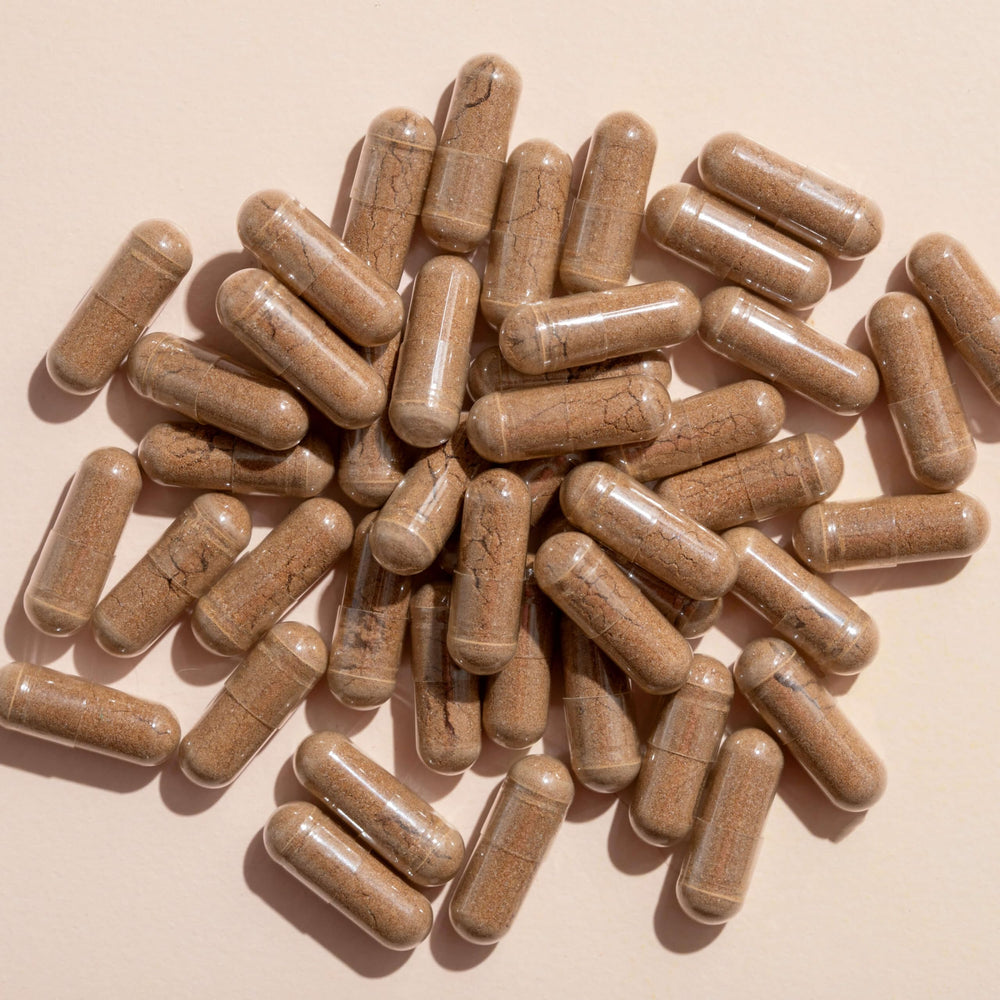 Plant Therapy Lion's Mane daily use lifestyle image promotes routine integration