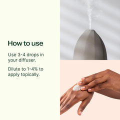 Plant Therapy Pink Grapefruit EO diffuser setup showcasing bright citrus aroma for refreshment.