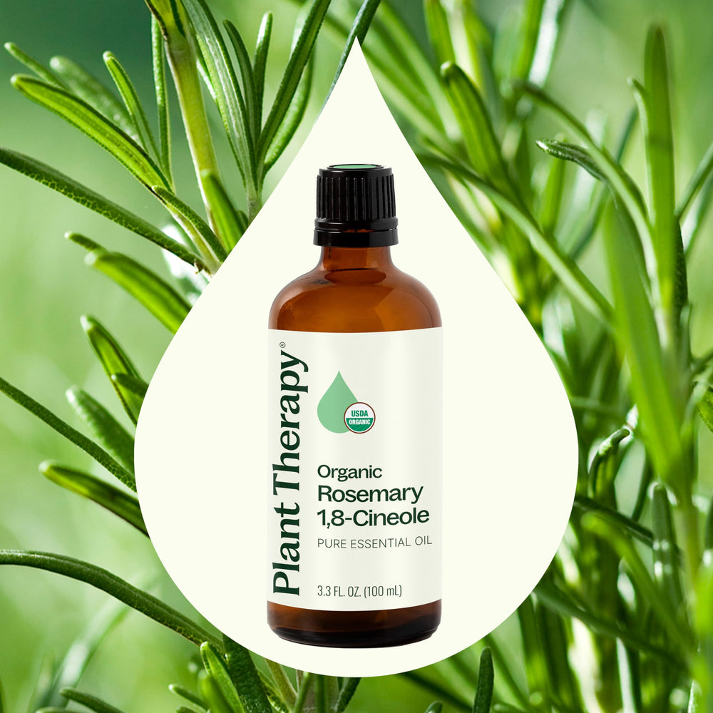 Plant Therapy rosemary oil diffuser usage — uplifting aroma for spaces.