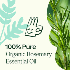 Plant Therapy rosemary oil massage blend — pairs with other oils for relaxation.