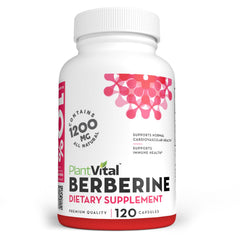 PlantVital Berberine bottle label close-up highlighting potency and USA-made quality.