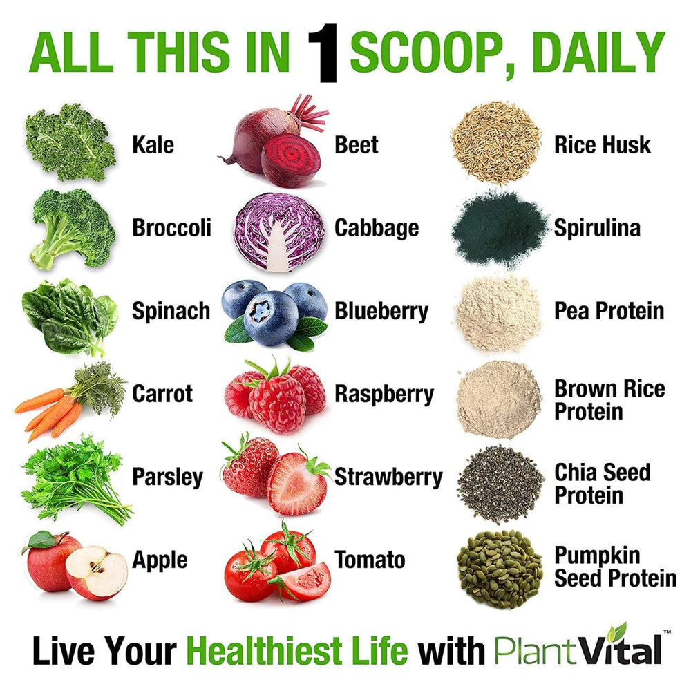Plantvital greens protein scoop showing 24g protein in shakes.