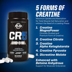 PMD CR5 muscle recovery scene suggests faster post-workout restoration.