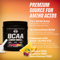 Graphic showing 2:1:1 BCAA ratio with PMD for protein synthesis support