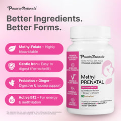 Power By Naturals Methyl Prenatal probiotic capsules illustrate gut-friendly prenatal benefits.