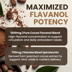 Powered X Plants epicatechin flavonoids graphic illustrates the plant-based blend.