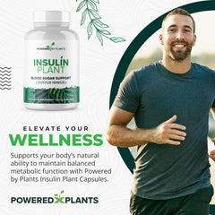 Powered X Plants insulin plant capsules packaging highlights 240-count supply.
