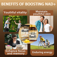 PQR liposomal delivery close-up indicates enhanced NAD+ absorption.