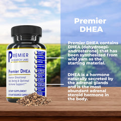 Premier DHEA capsules close-up for daily wellness support.