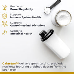 Premier Research Labs Galactan powder texture closeup illustrating dissolvable fiber.