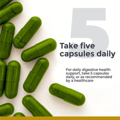 Premier Research Labs Lactobacillus reuteri probiotic capsule emphasizes gut-friendly fermentation.