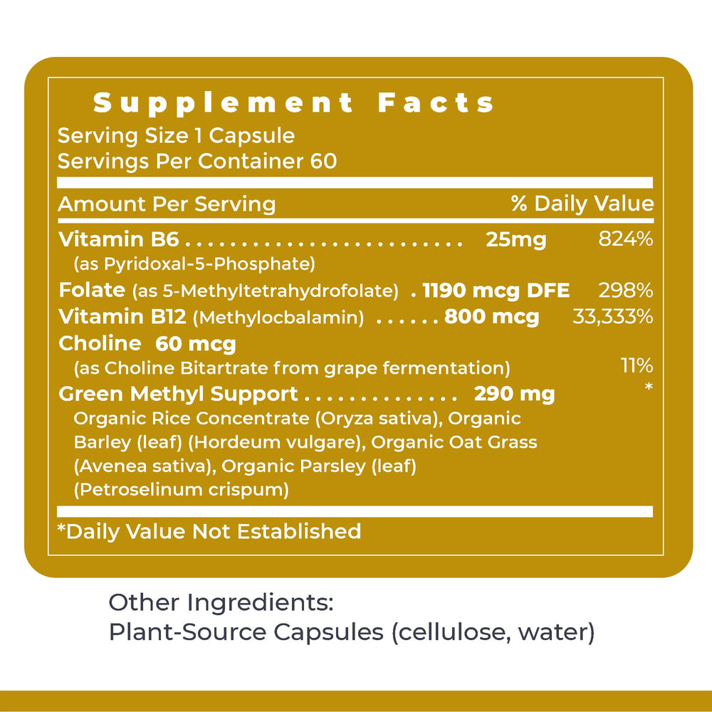 Premier Research Labs Phyto Methylate outer box shows sustainable packaging and global sourcing.