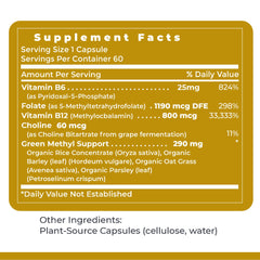 Premier Research Labs Phyto Methylate outer box shows sustainable packaging and global sourcing.