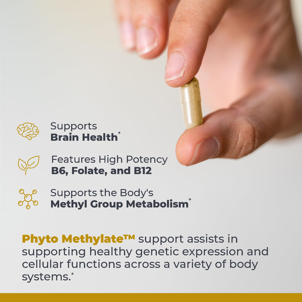 Premier Research Labs Phyto Methylate serving suggestion for daily use.