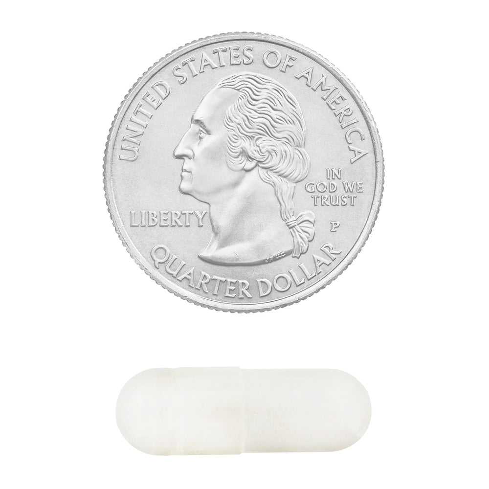 Label closeup highlights clean formula and 240-capsule value size.